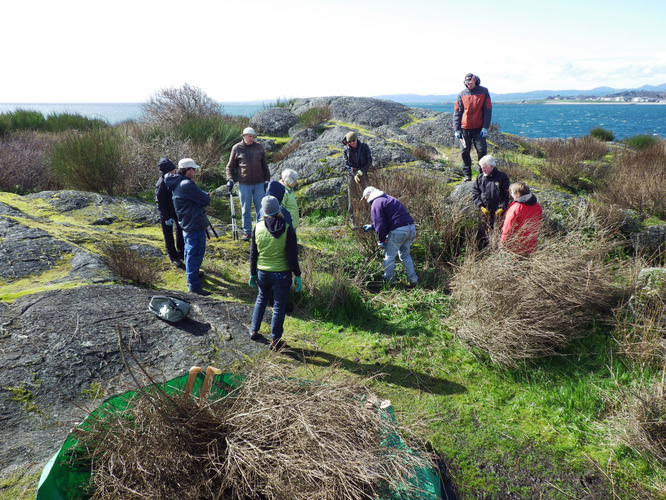 Matt Fairbarns demonstrates Scotch Broom removal technique to volunteers (photo: C. Junck, GOERTS)
