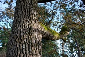 Highrock Park in Esquimalt is a favourite place