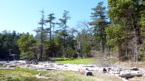 Moorecroft Regional Park foreshore