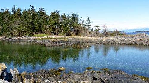 Moorecroft Regional Park shoreline