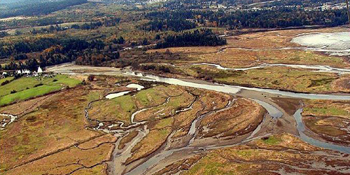 Nanaimo Estuary air photo