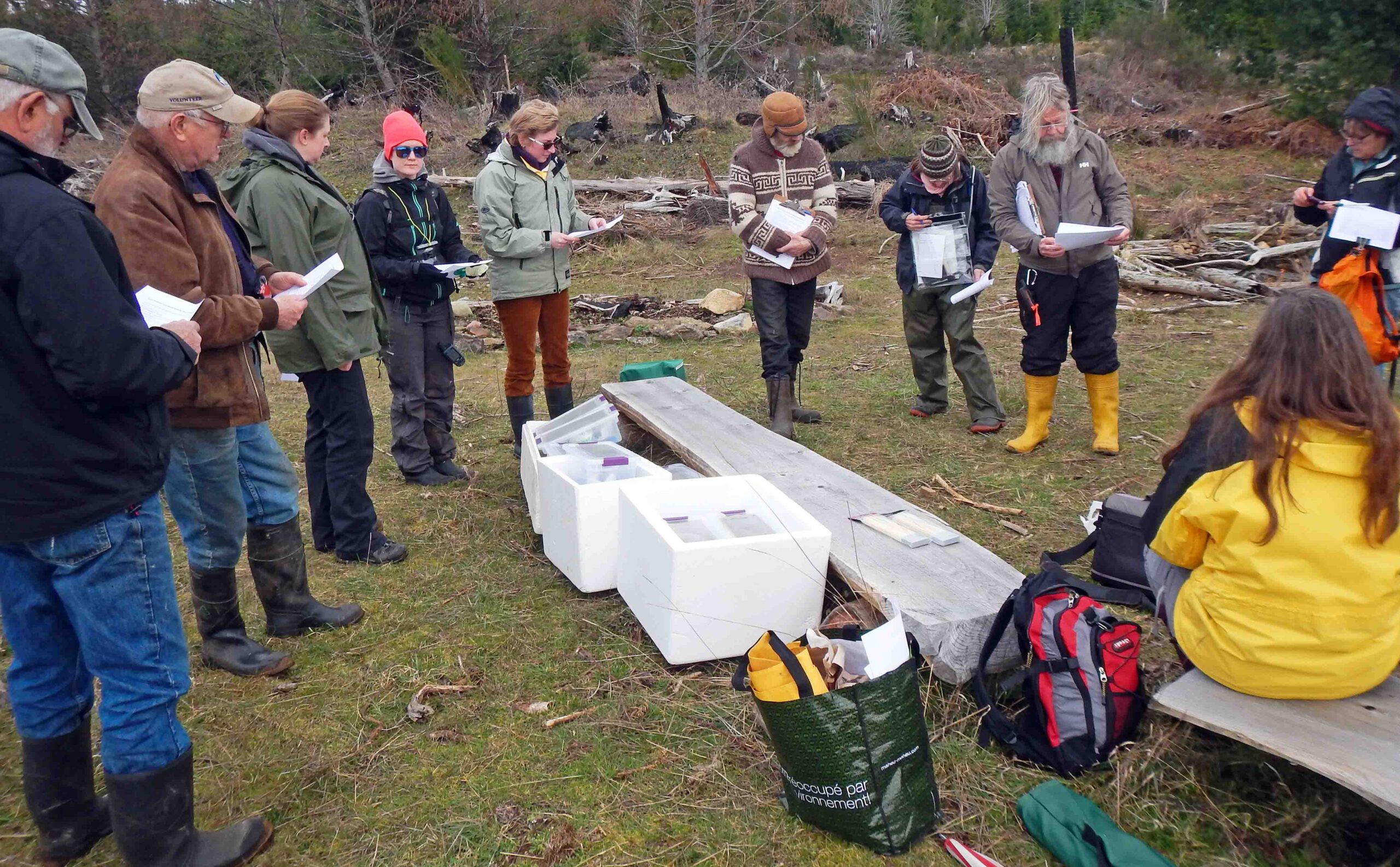 Taylor's Checkerspot Recovery Project members preparing to release more than 1,000 larvae. Photo: J Heron