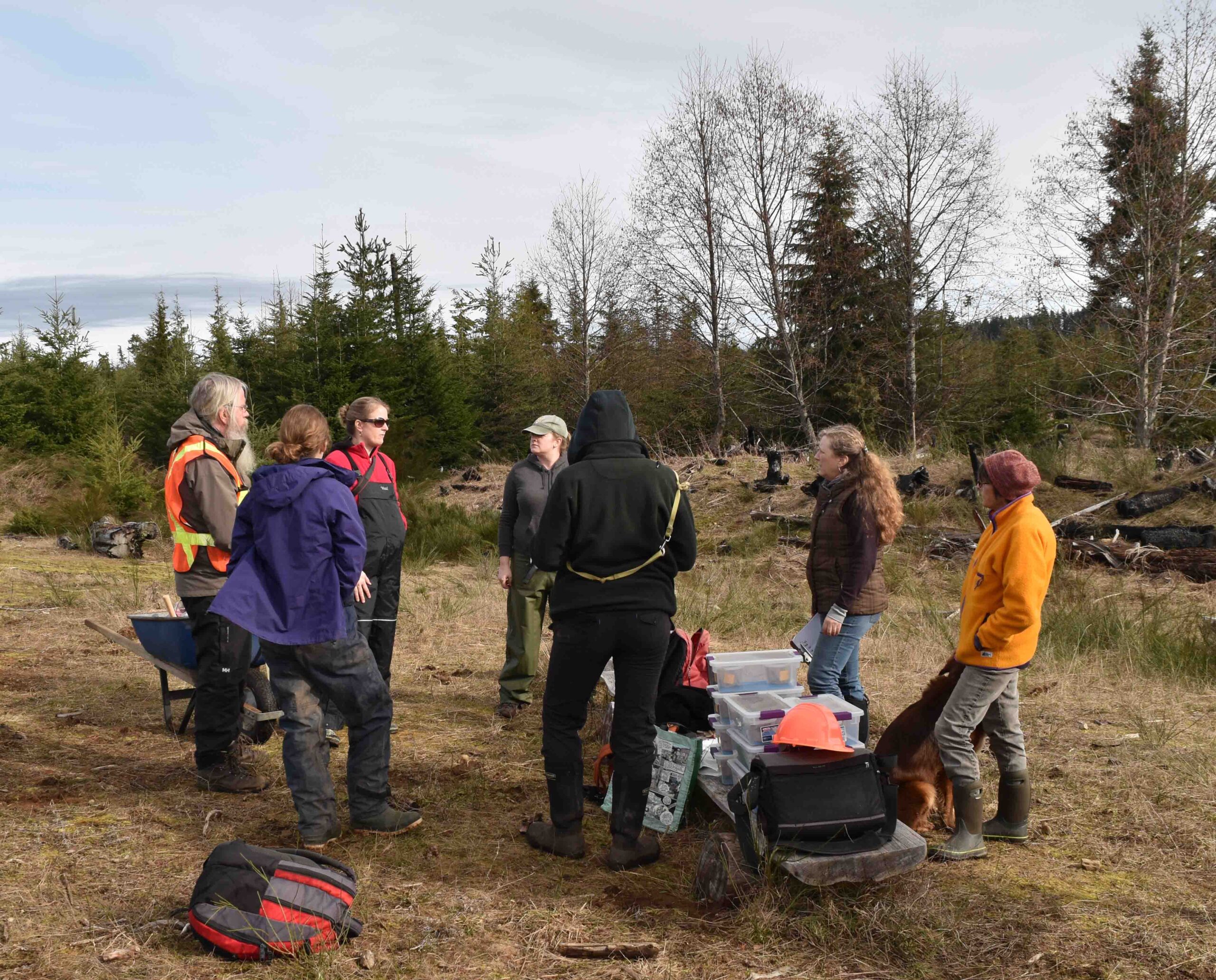 TCBRP_2017 larval release_Denman Island_Chris Junck_0179_crpd_med res