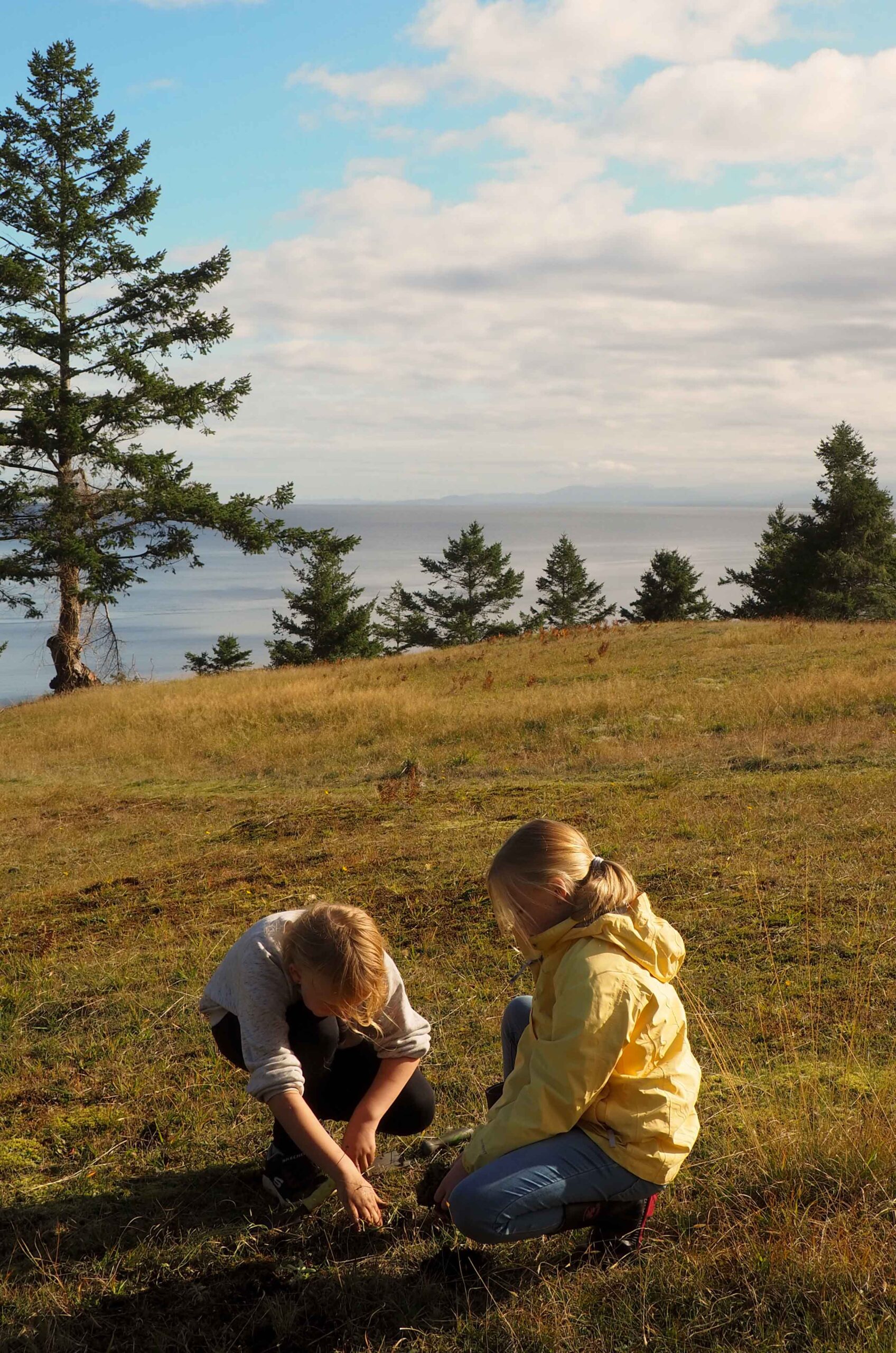 Students replacing weeds with native plants.
