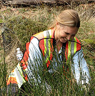 CRD Parks volunteer removes broom from Mill Hill