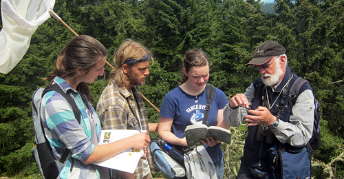 dragonfly monitoring at crow's nest