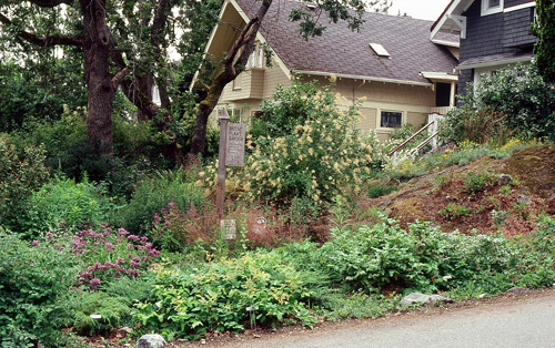 Kings Road Native Plant Garden in Victoria