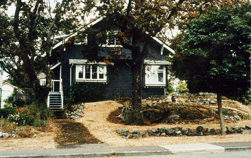 Before: dry lawn at the end of summer, with Garry oak trees left and centre.