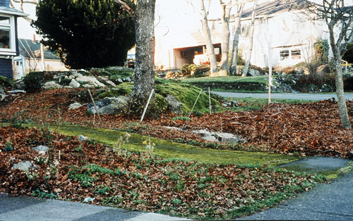 Before: in the foreground, natural leaf fall at the site of a future thicket, and in the background, deep sheet mulch prepares the ground for the Garry oak meadow.