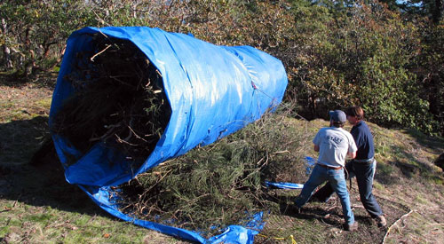 CRD Parks staff prepare a giant broom bundle for removal by helicopter