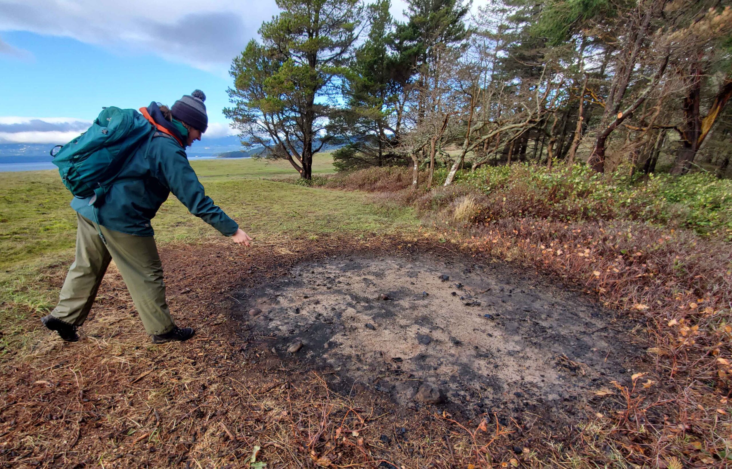 Burn piles are seeded with native species. photo by James Miskelly.